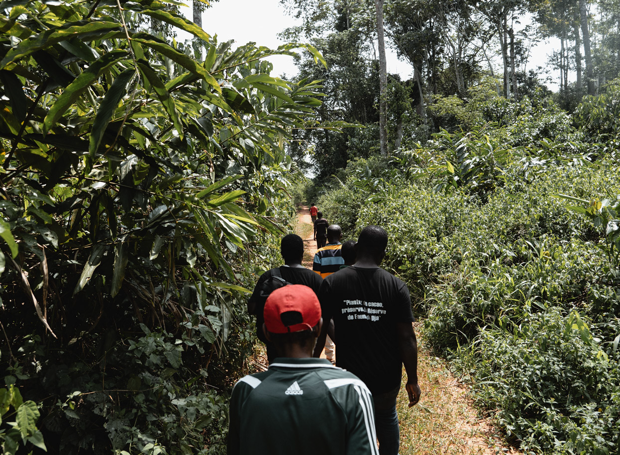 Mission terrain Reserve de Faune du Dja