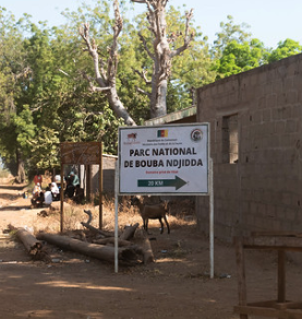 Mission terrain, Bouba Ndjida, Cameroun