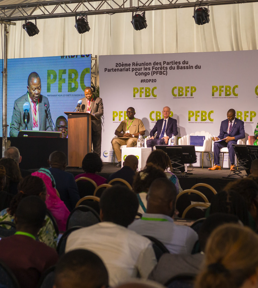 Réunion des Parties du PFBC