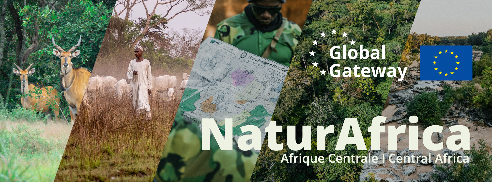 Newsletter n°2 NaturAfrica Afrique centrale