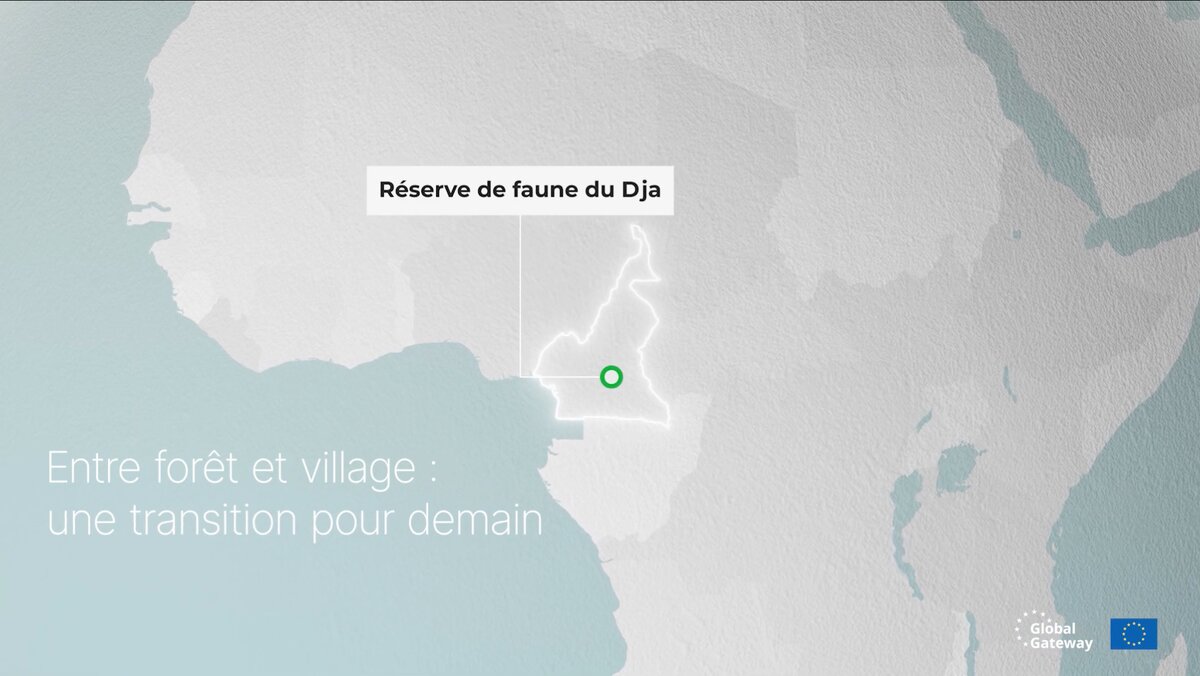 Réserve de faune du Dja — Entre forêt et village